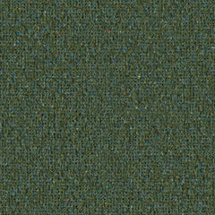 Earthbound - Groundcover - 4146 - 15