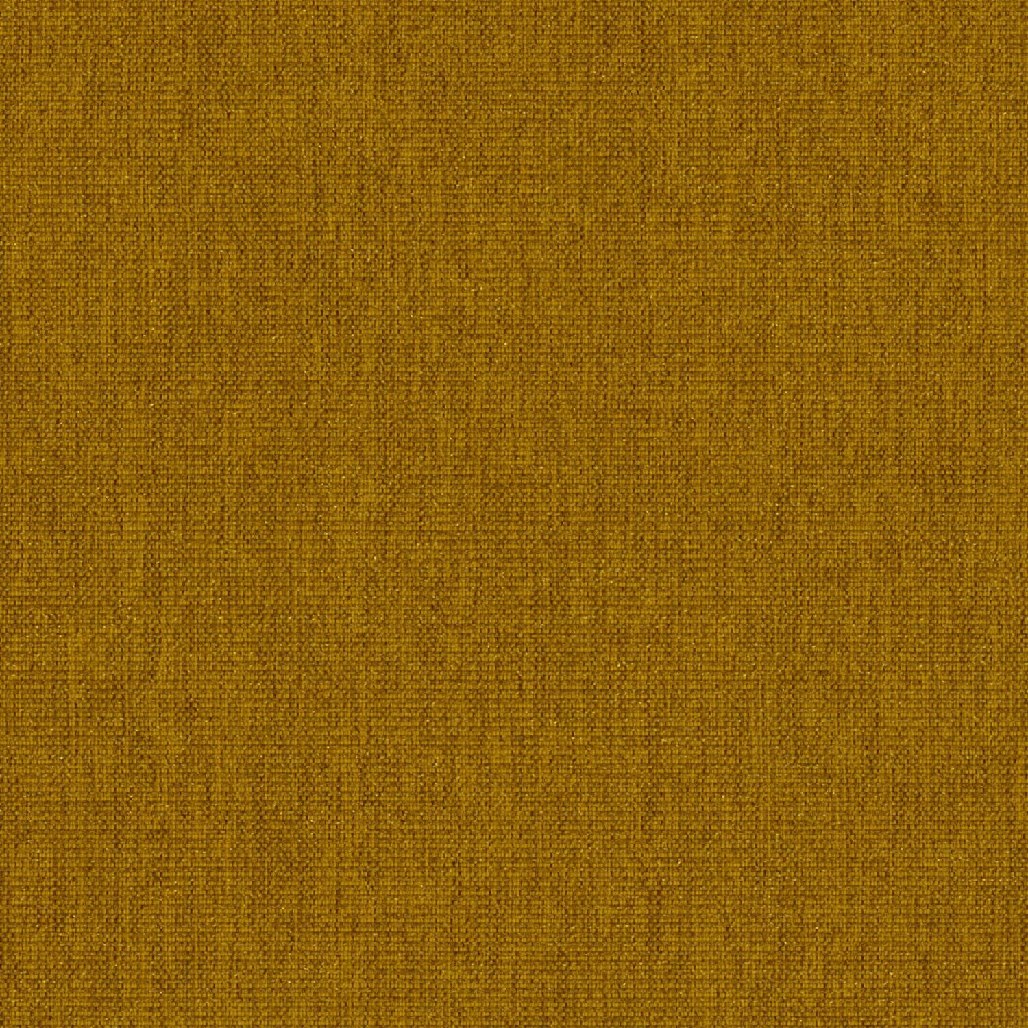 Haze - Ginger - 2013 - 04