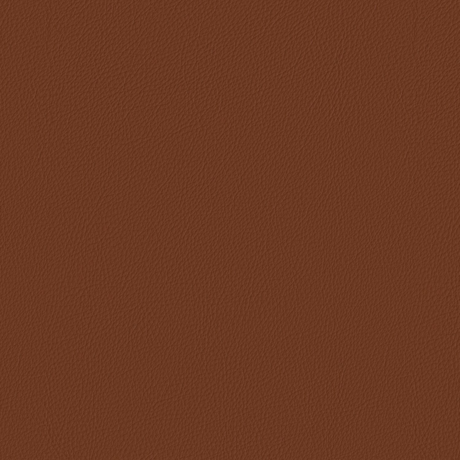 Pela - Clove - 4024 - 01