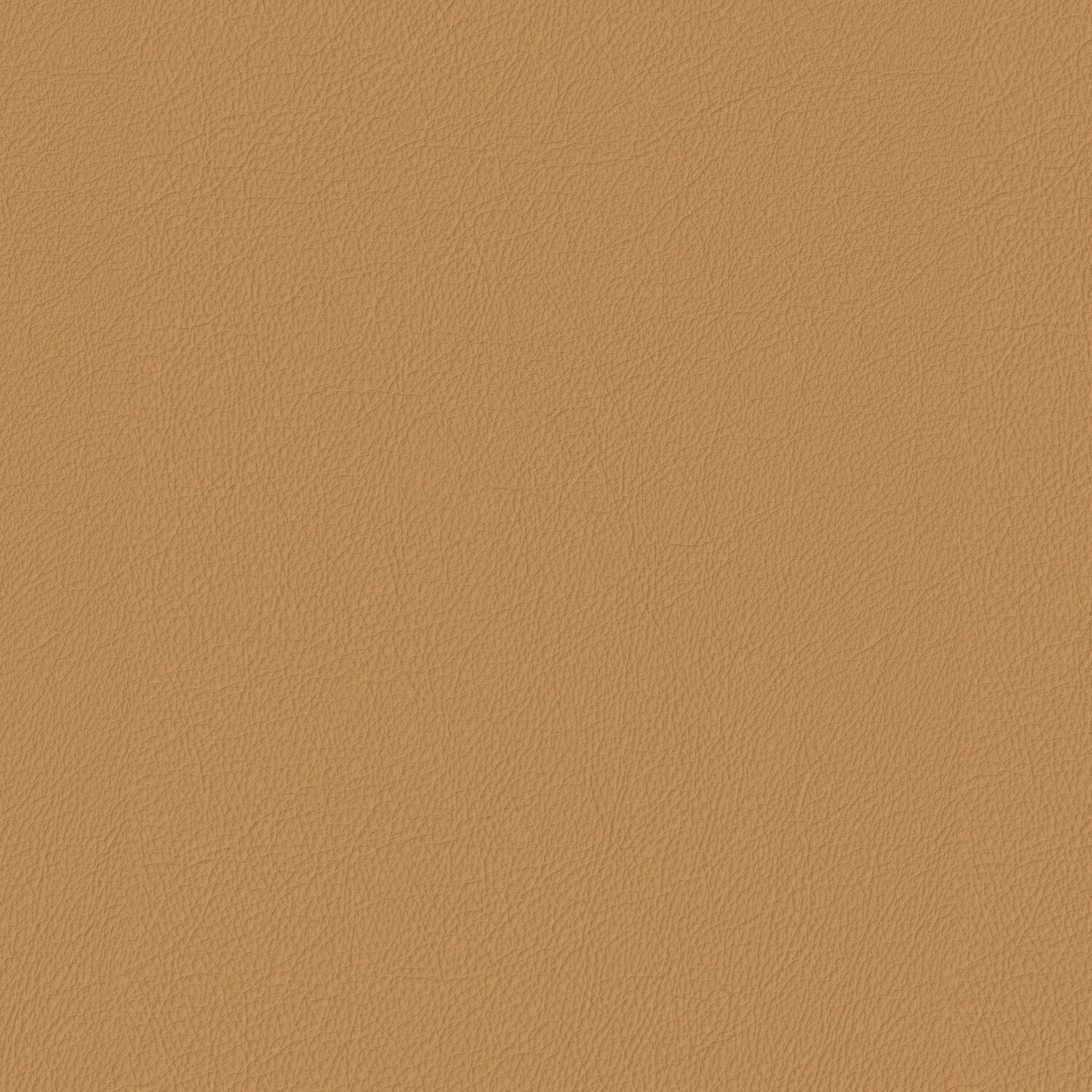 Pela - Nubuck - 4024 - 25