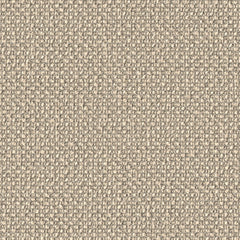 Surface Level - Raffia - 2011 - 05