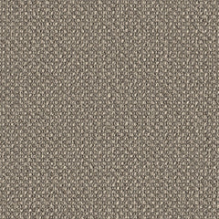 Surface Level - Seedpod - 2011 - 06