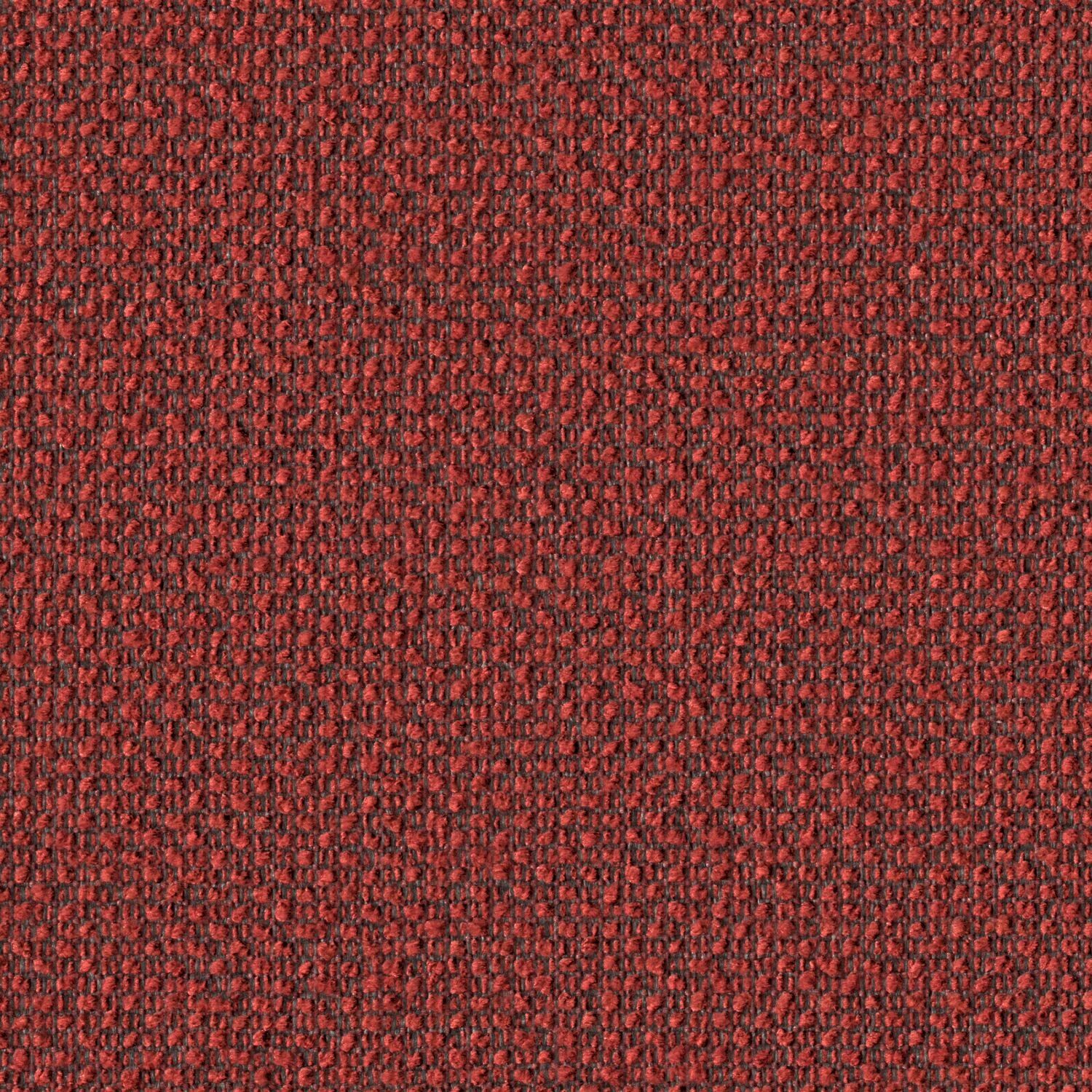 Surface Level - Cherrybark - 2011 - 07 - Half Yard