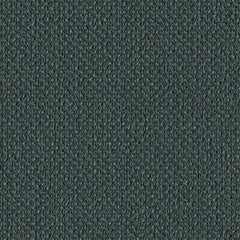 Surface Level - Kelp - 2011 - 10