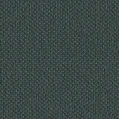 Surface Level - Kelp - 2011 - 10