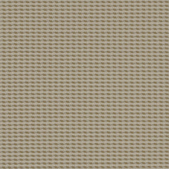 Cross Dye - Light Birch - 4009 - 03 - Half Yard