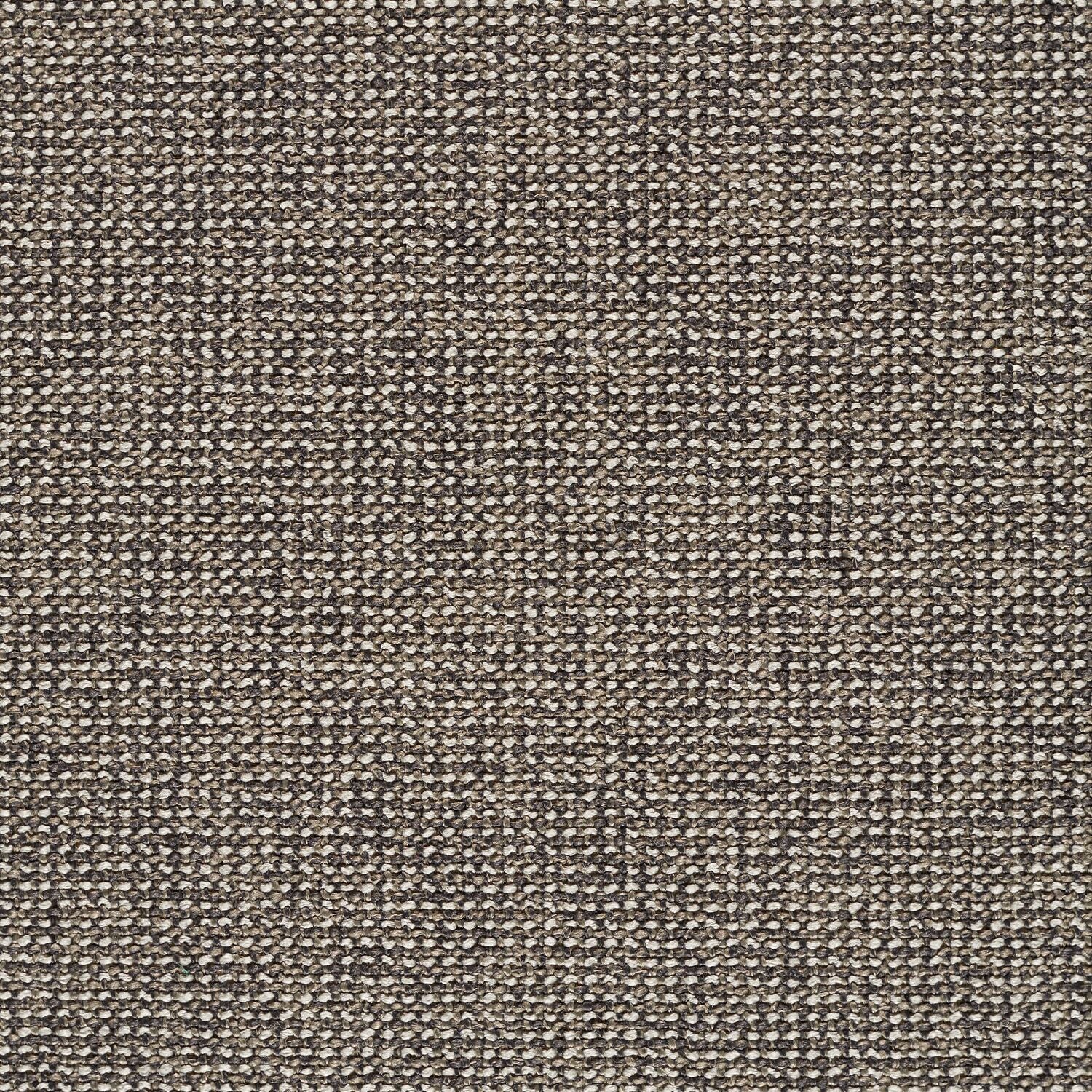 Adage - Halite - 4069 - 08 - Half Yard