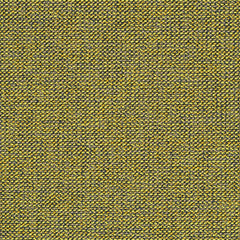 Adage - Holograph - 4069 - 13 - Half Yard