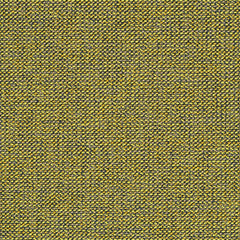 Adage - Holograph - 4069 - 13 - Half Yard