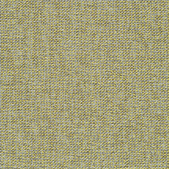 Adage - Halogen - 4069 - 15 - Half Yard