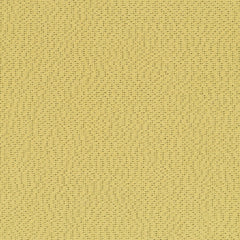 Bitstream - Xenon - 4066 - 08 - Half Yard