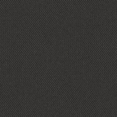 Biotope - Carbon Cycle - 4113 - 01 - Half Yard