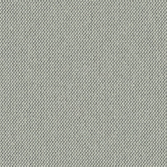 Biotope - Marine Snow - 4113 - 05 - Half Yard