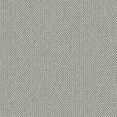 Biotope - Marine Snow - 4113 - 05 - Half Yard