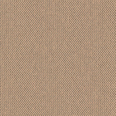 Biotope - La Niña - 4113 - 07 - Half Yard