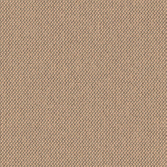 Biotope - La Niña - 4113 - 07 - Half Yard