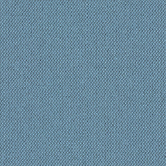 Biotope - Ice Cap - 4113 - 11 - Half Yard