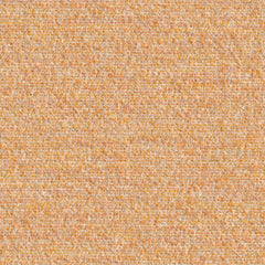 Cognition - Concentrate - 4130 - 06 - Half Yard