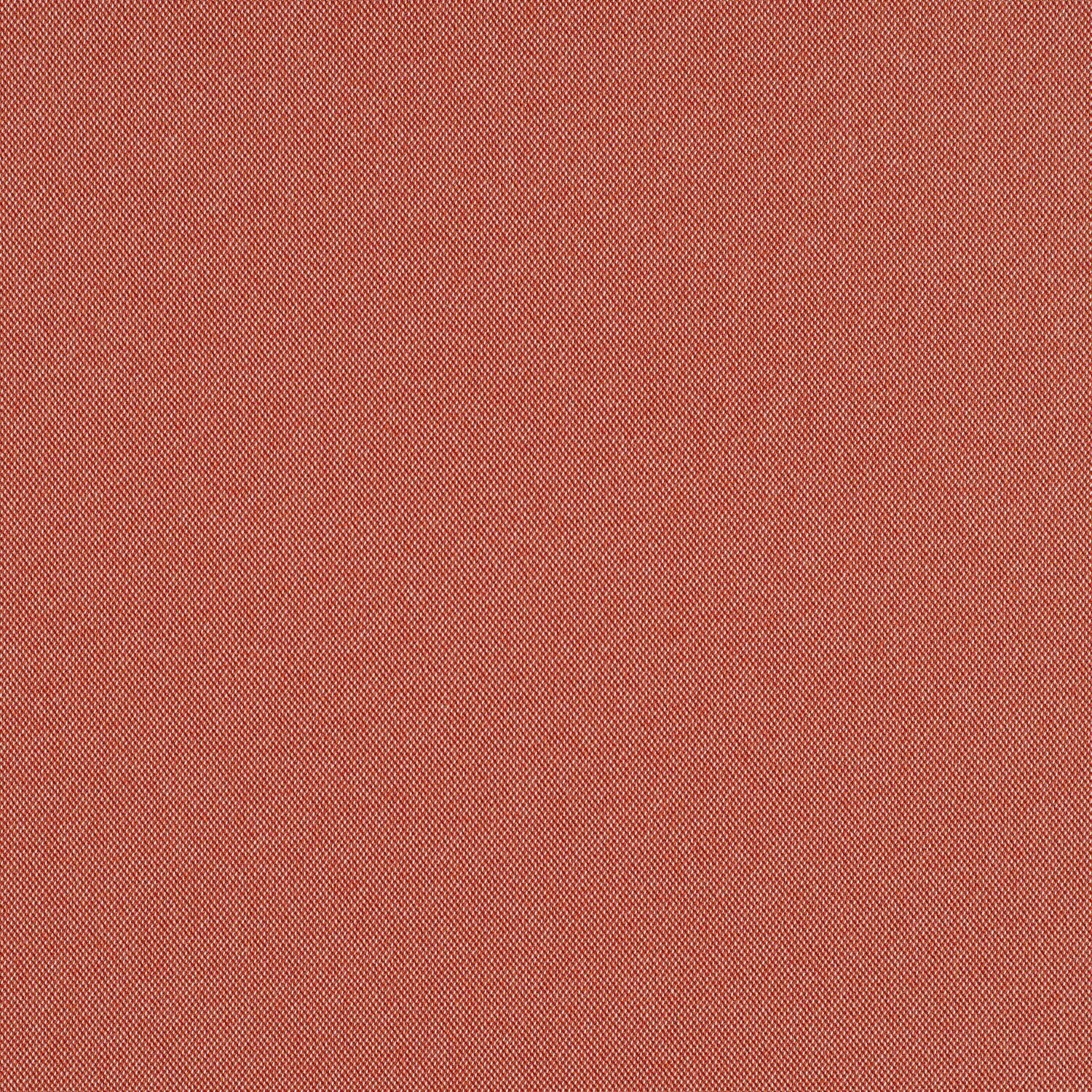 Cult Classic - Ziggy Stardust - 1031 - 06 - Half Yard