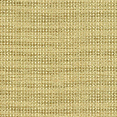 Complement - Amarillo - 4042 - 06 - Half Yard