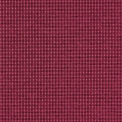 Complement - Garnet - 4042 - 09 - Half Yard