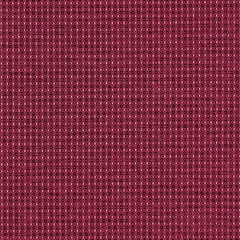 Complement - Garnet - 4042 - 09