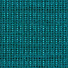 Complement - Peacock - 4042 - 12
