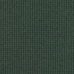 Complement - Pine - 4042 - 14 - Half Yard