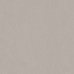 Decoy - Ditto - 4087 - 04 - Half Yard