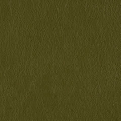 Decoy - Parrot - 4087 - 39 - Half Yard