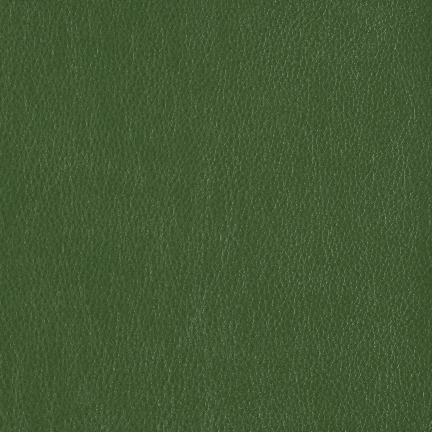 Decoy - Face Value - 4087 - 40 - Half Yard
