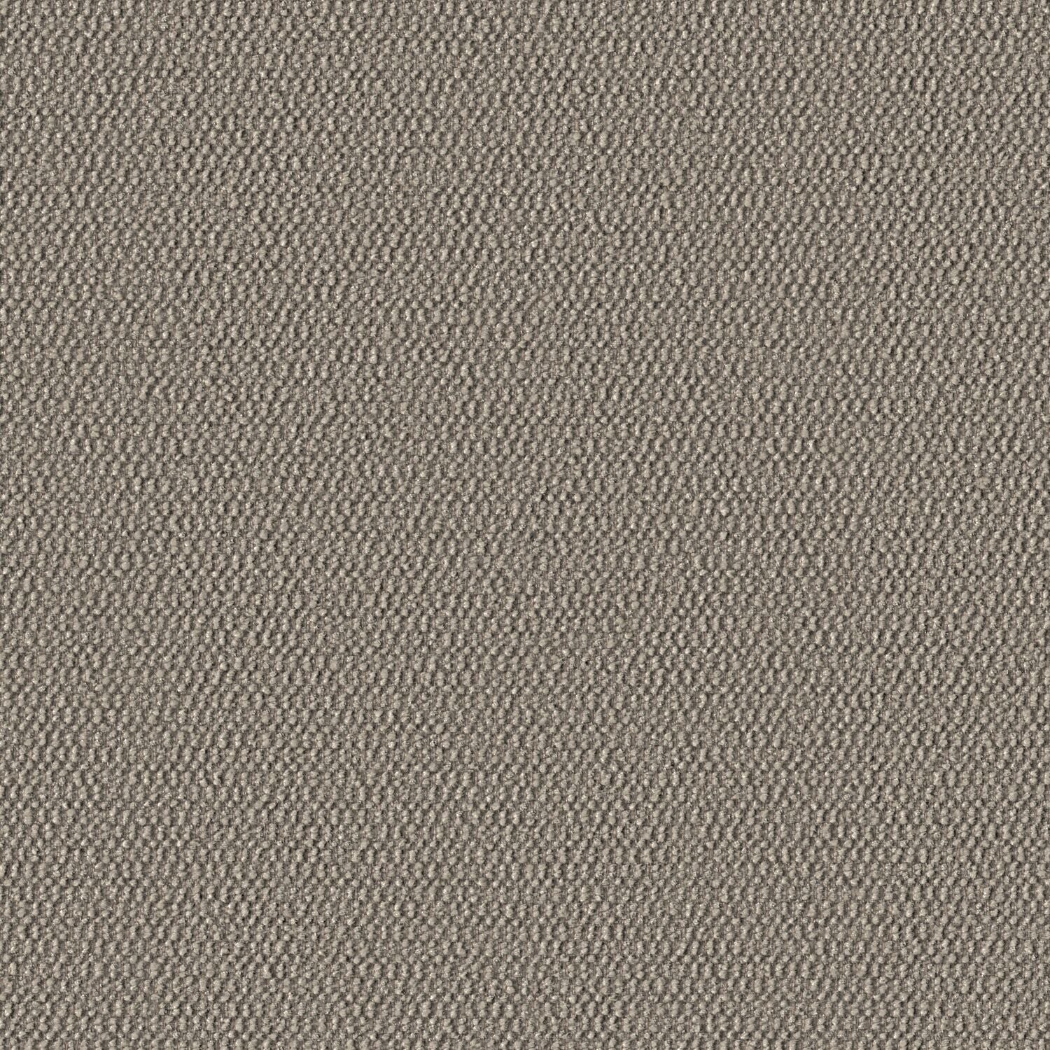 Demi Boucle - Chia - 2005 - 02 - Half Yard