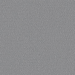 Demi Boucle - Talc - 2005 - 05 - Half Yard