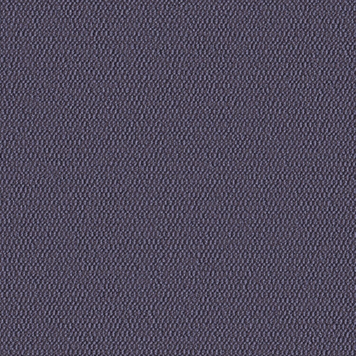 Demi Boucle - Crocus - 2005 - 09