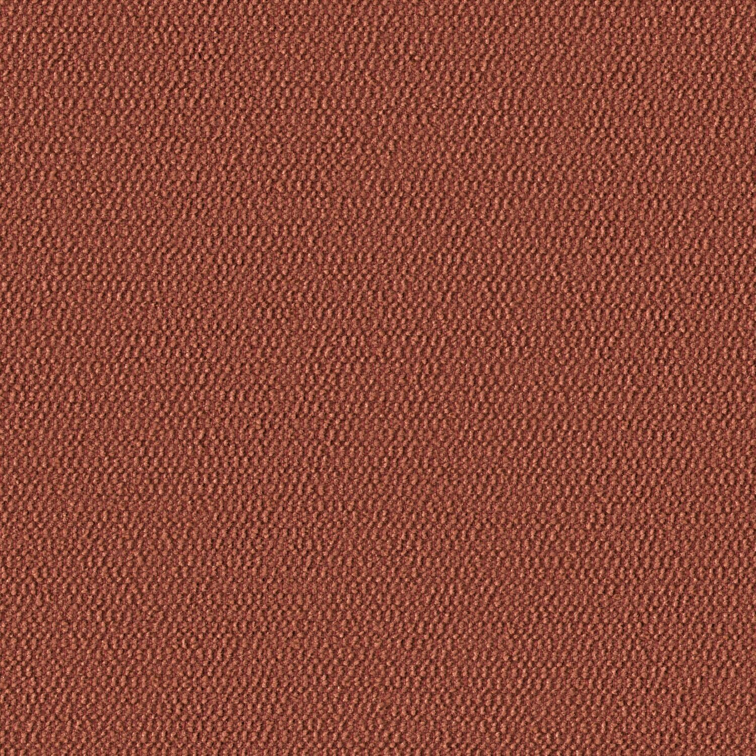 Demi Boucle - Desert Peach - 2005 - 11