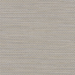 Emit - Dazzle - 1025 - 04 - Half Yard