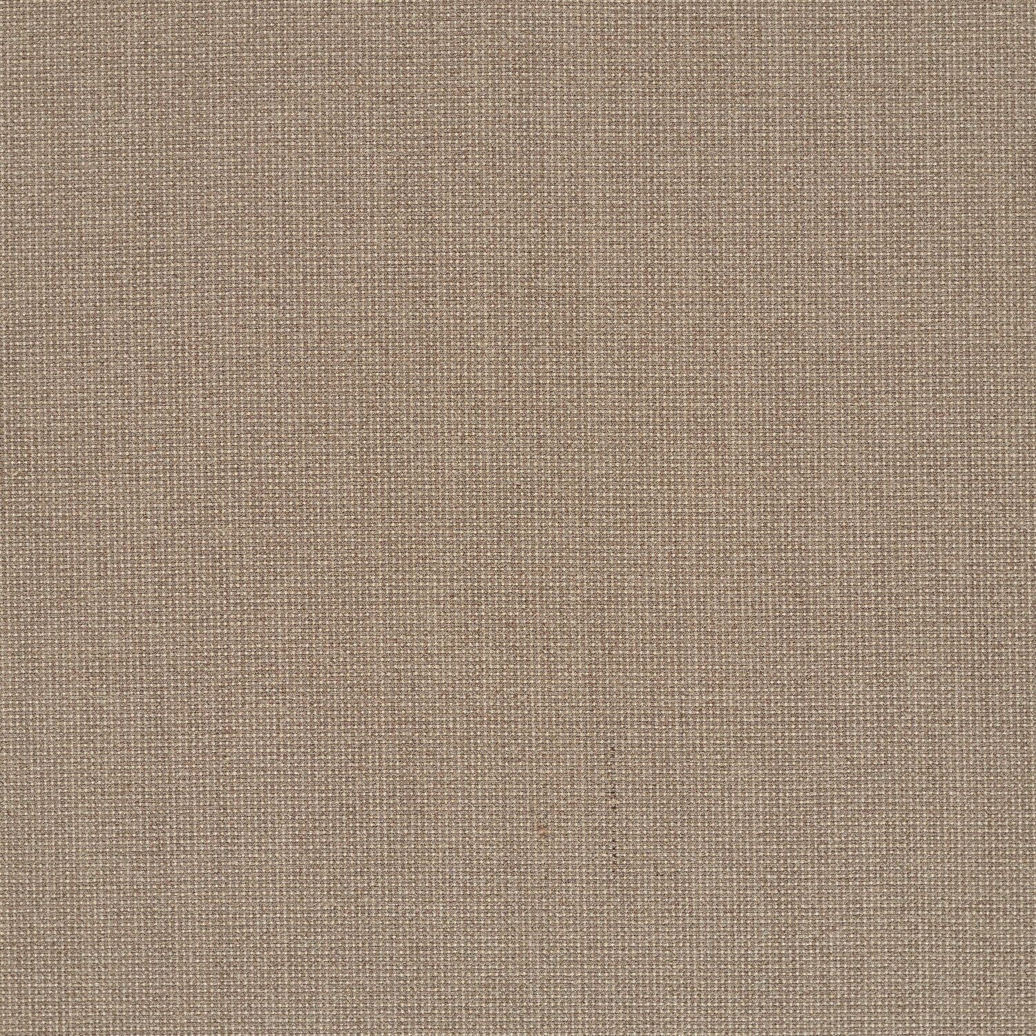 Elastic Wool - Seed - 4067 - 05
