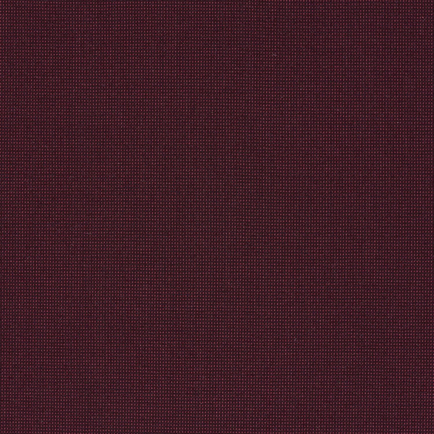 Elastic Wool - Ceylon - 4067 - 09 - Half Yard