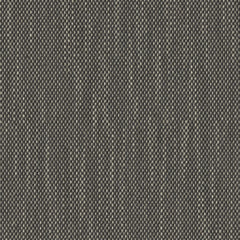 Contrast Slub - Charred Seed - 4115 - 01 - Half Yard