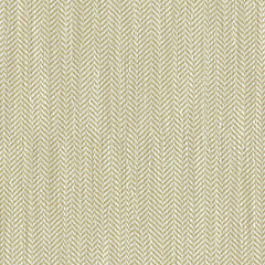 Herringbone Hybrid - Primary Growth - 4121 - 09