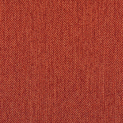 Percept - Ignite - 4040 - 18 - Half Yard