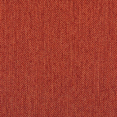 Percept - Ignite - 4040 - 18 - Half Yard