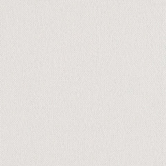 Backdrop - White Out - 1027 - 01 - Half Yard
