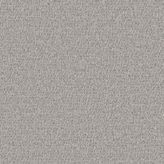 Median - Downy Phlox - 2006 - 04
