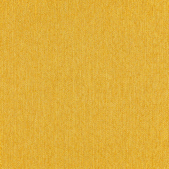 Percept - Radiant - 4040 - 24 - Half Yard