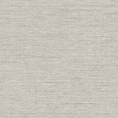 Impasto - Spackle - 7021 - 02