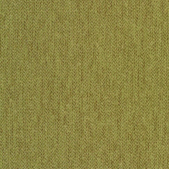 Percept - Reason - 4040 - 09 - Half Yard