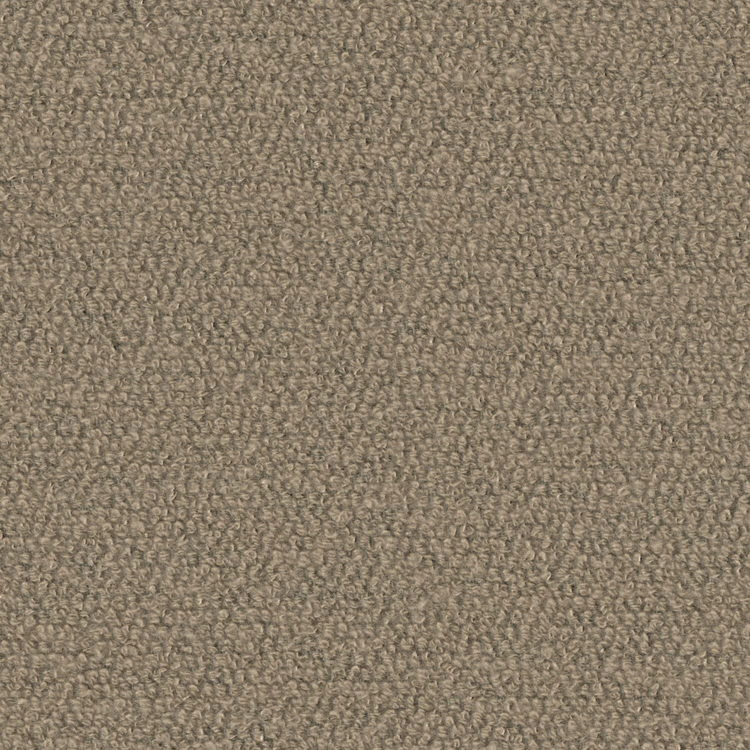 Super Shearling - Earth Tincture - 4119 - 05 - Half Yard