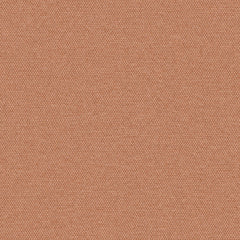 Simplicity - Salmon - 2008 - 06