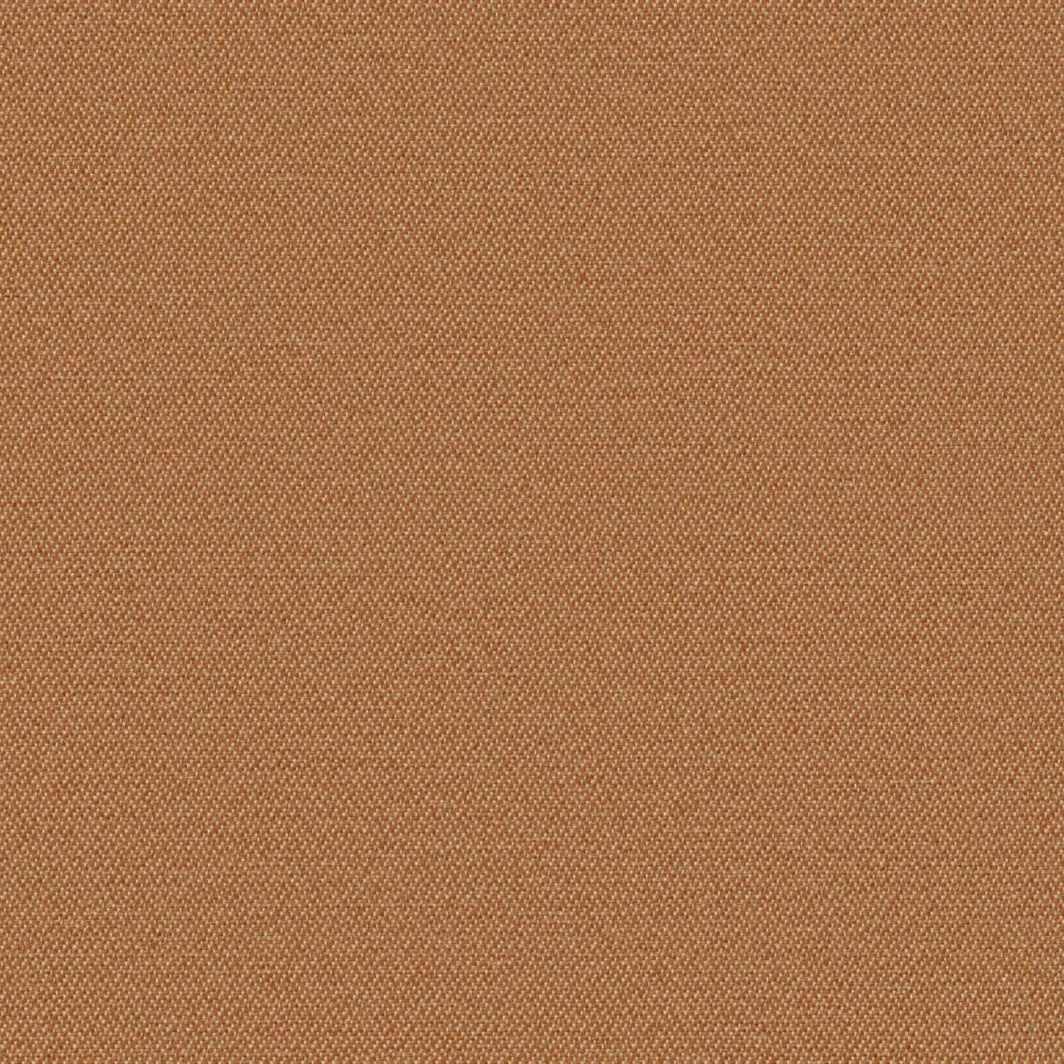 Simplicity - Raw Sienna - 2008 - 08